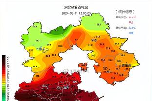 美记：独行侠&国王&活塞都有意黄蜂球员迈尔斯-布里奇斯